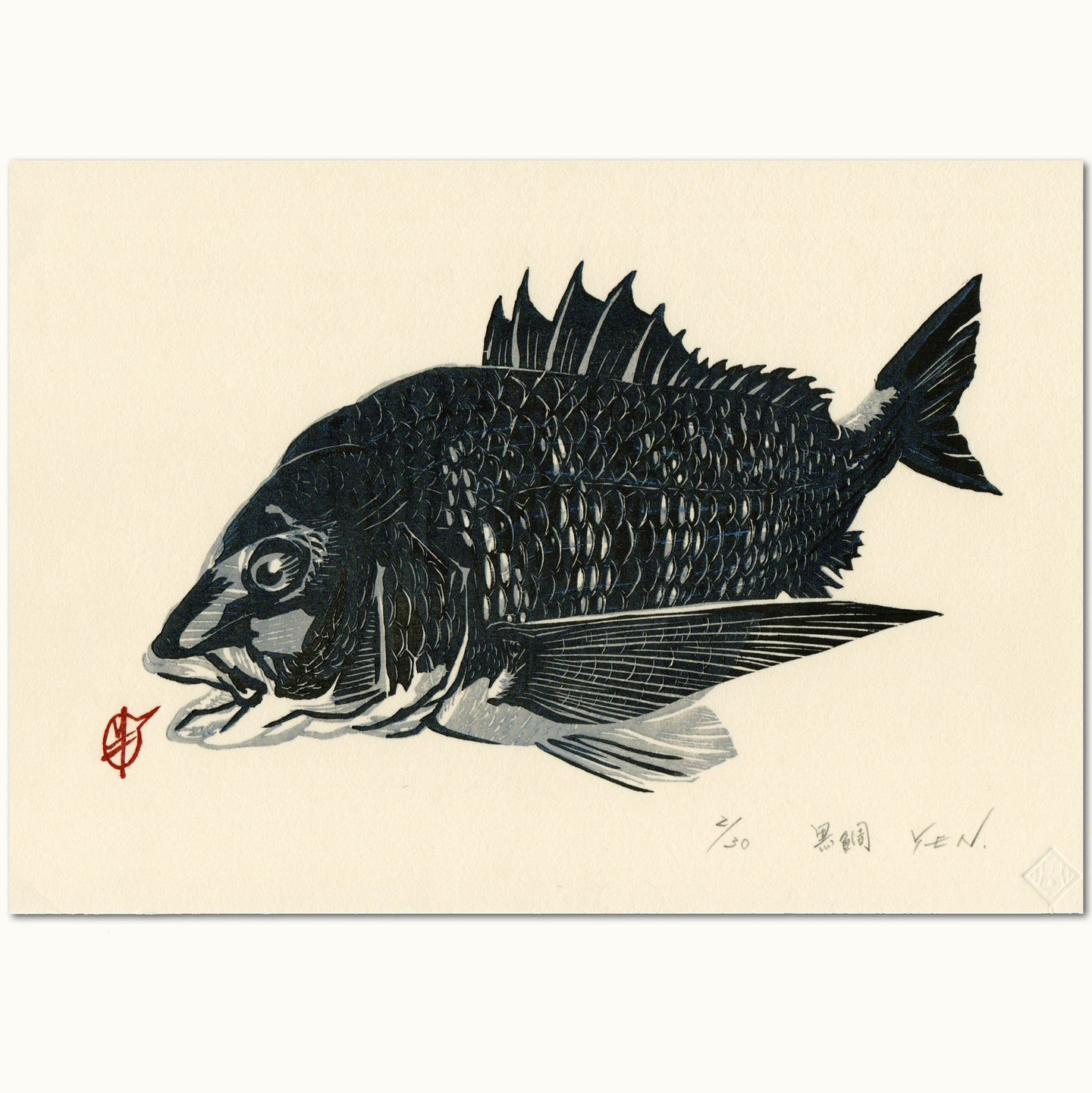 Hand-Printed Woodblock Print of Black Sea Bream